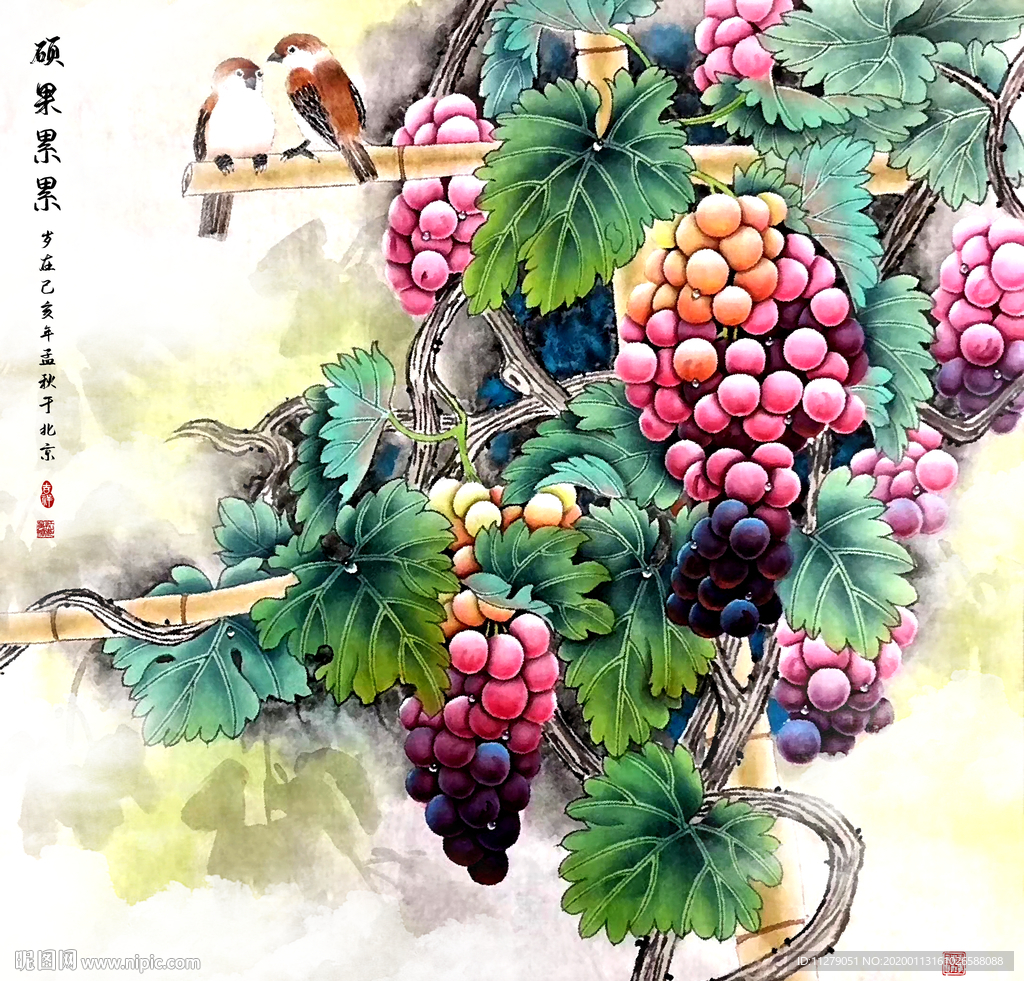 葡萄硕果累累
