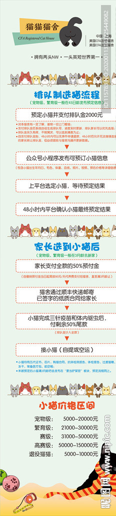 猫舍流程