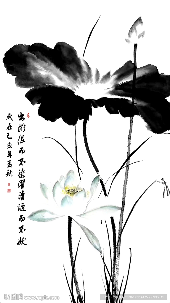 荷花水墨画