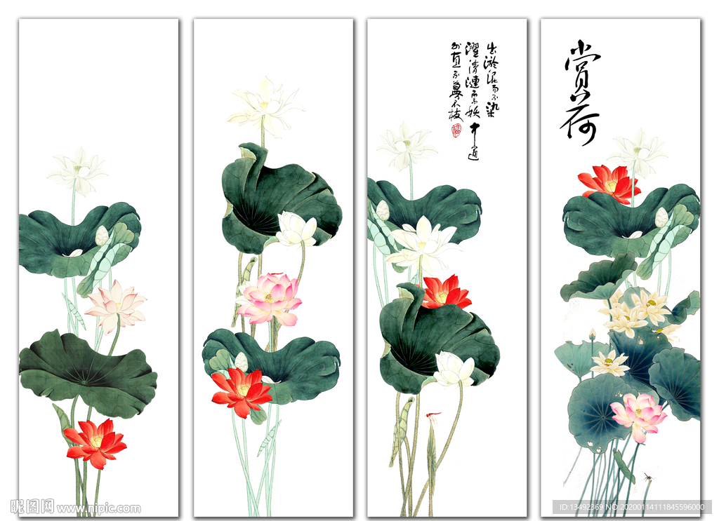 国画荷花