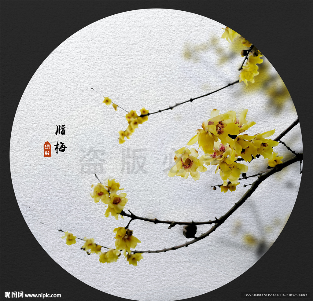 腊梅