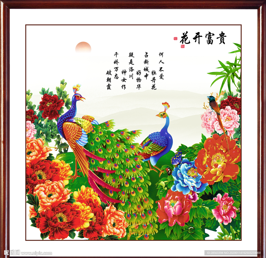 富贵花开