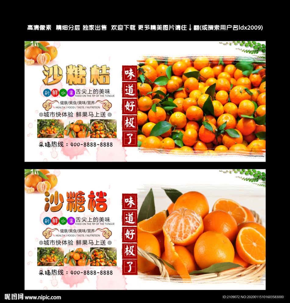 沙糖桔