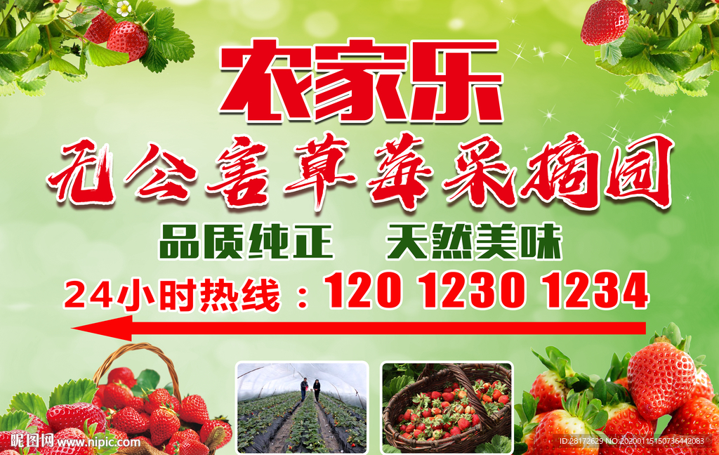草莓展板