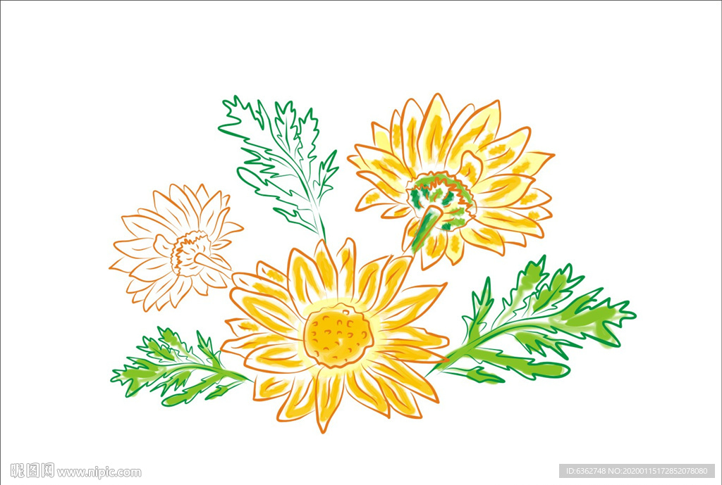 菊花