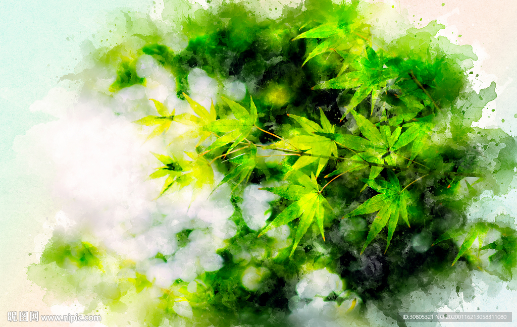 春天绿叶水彩画
