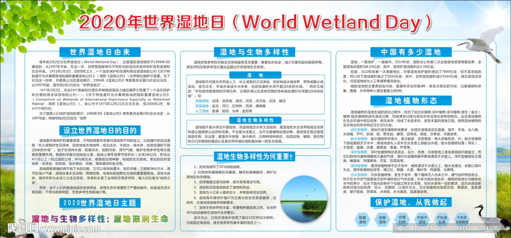 世界湿地日