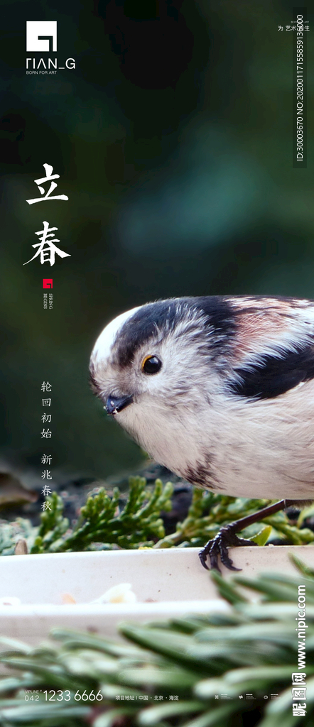 立春