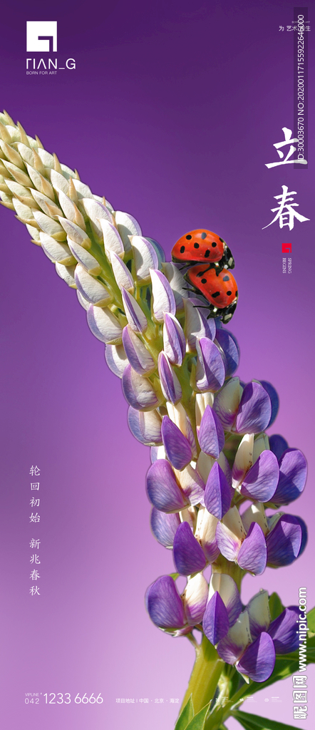 立春