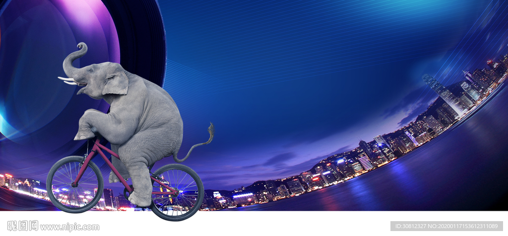 地产画面 大象画面 地产蓝色