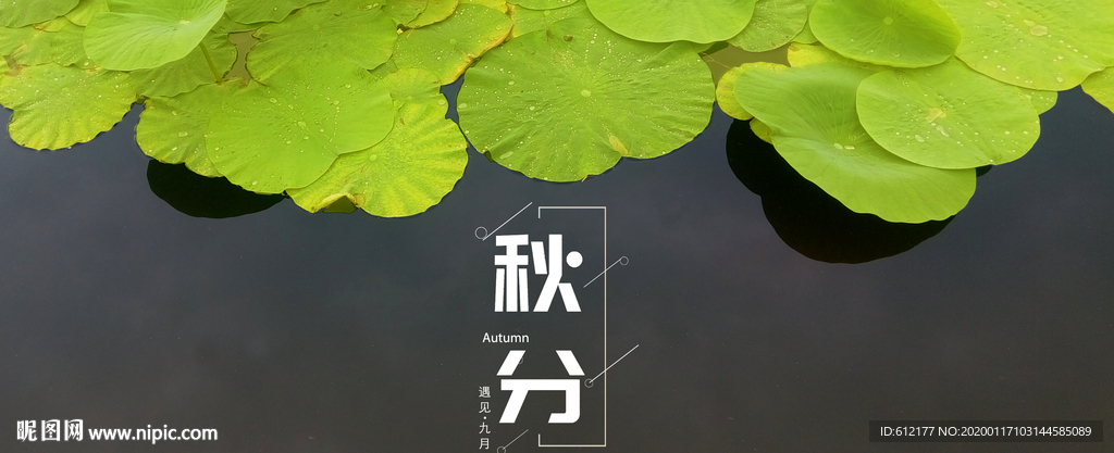 秋分