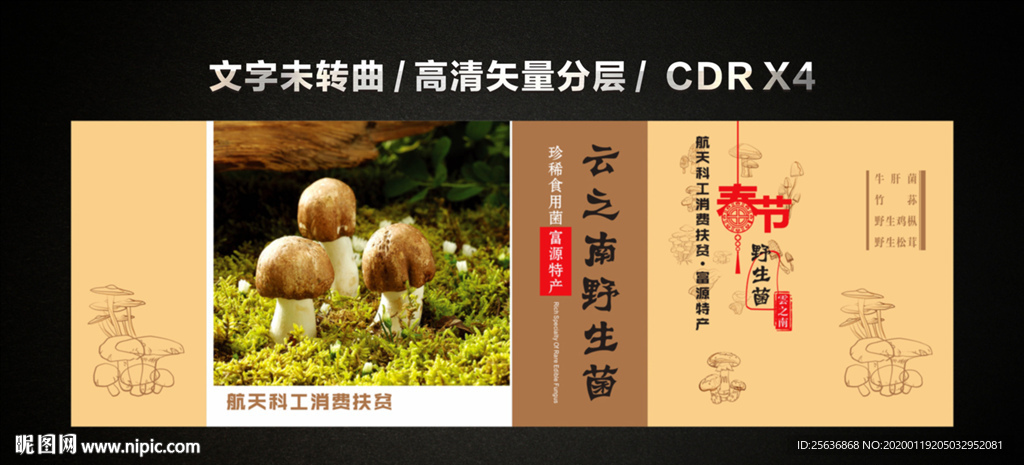 云之南野生菌海报包装