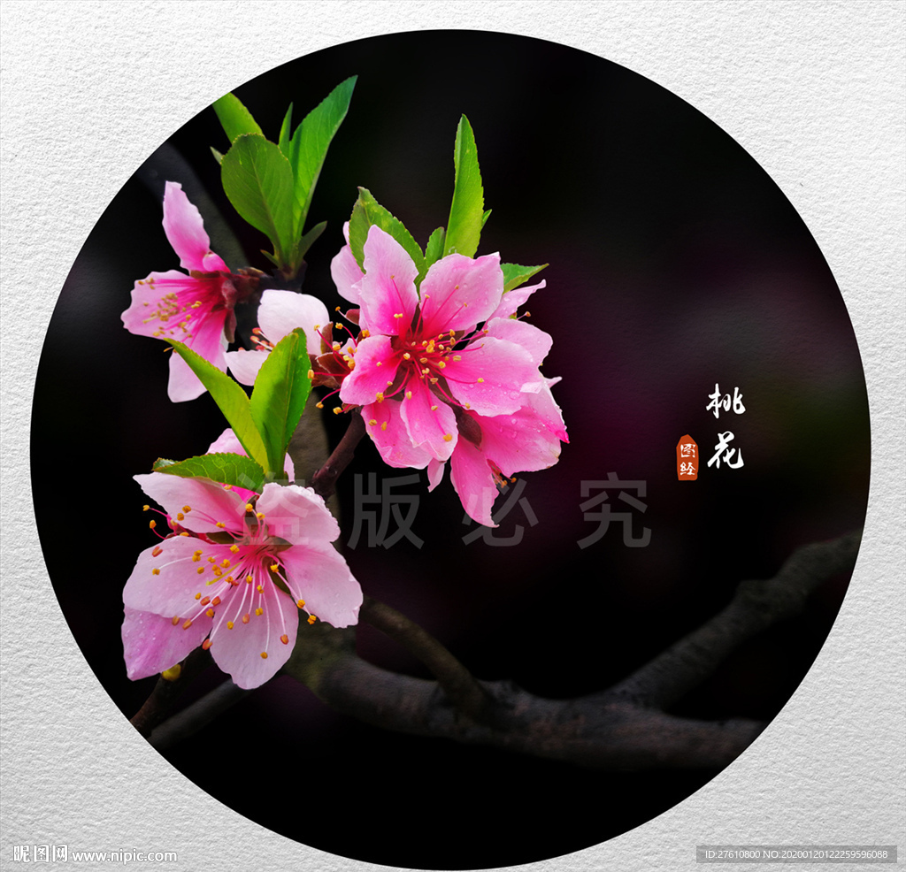 桃花