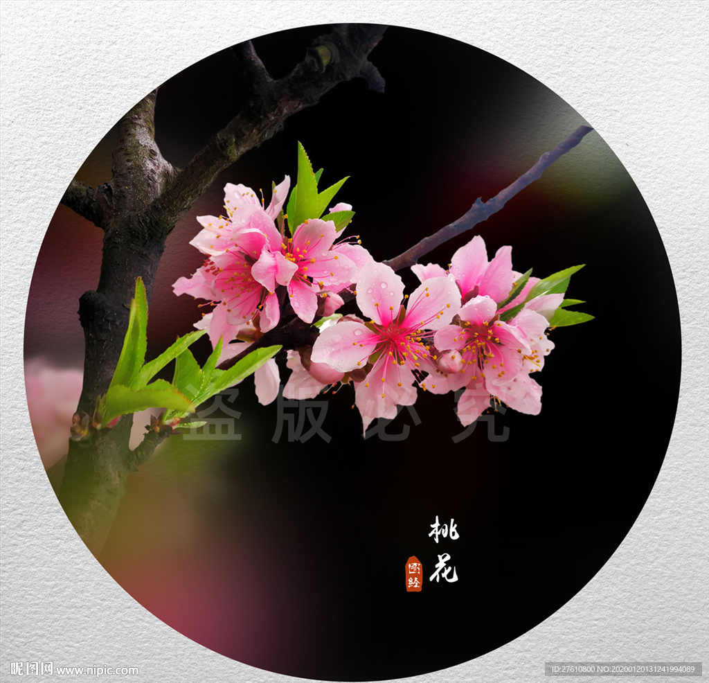 桃花
