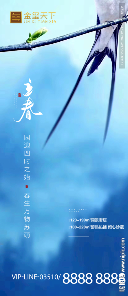 立春  春分节气 微信单片创意