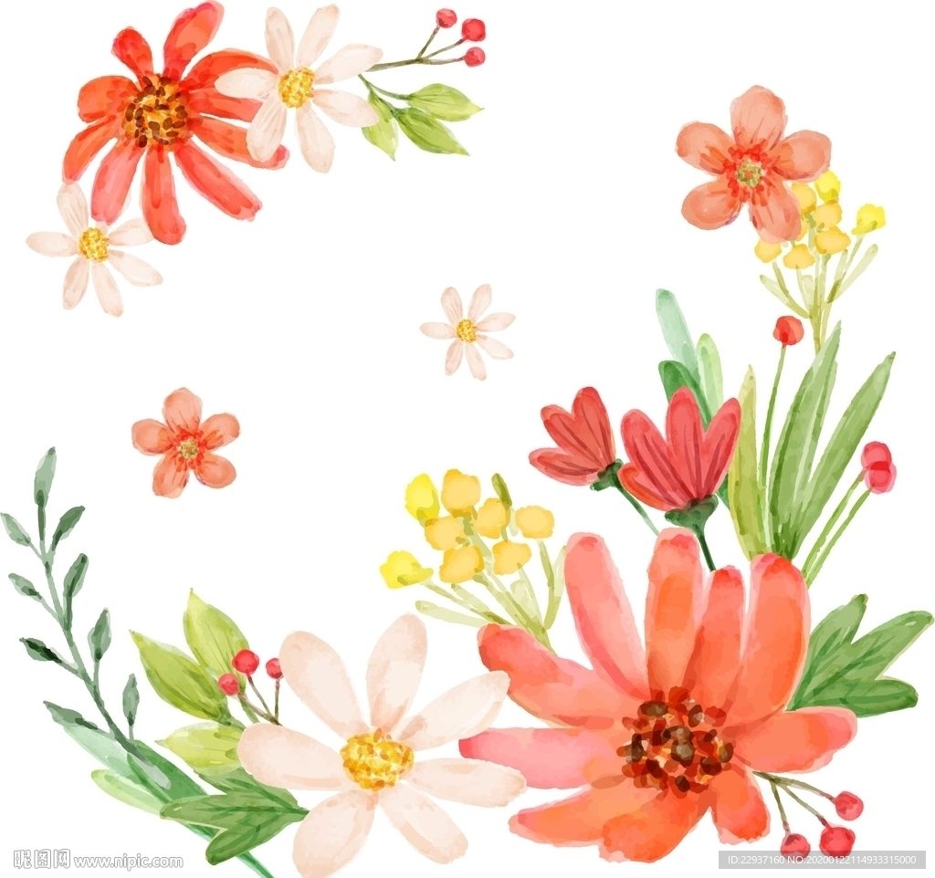 水彩花卉