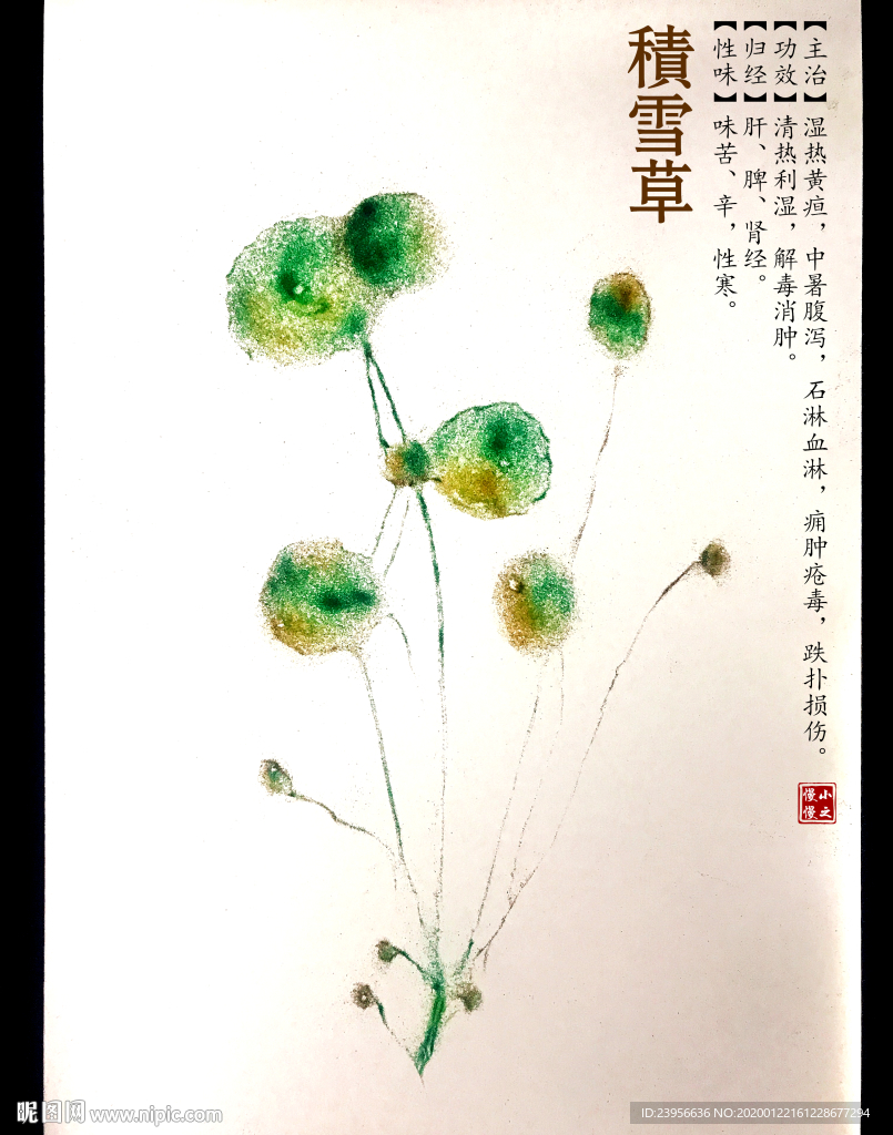 沙画最美动植物写实写意图