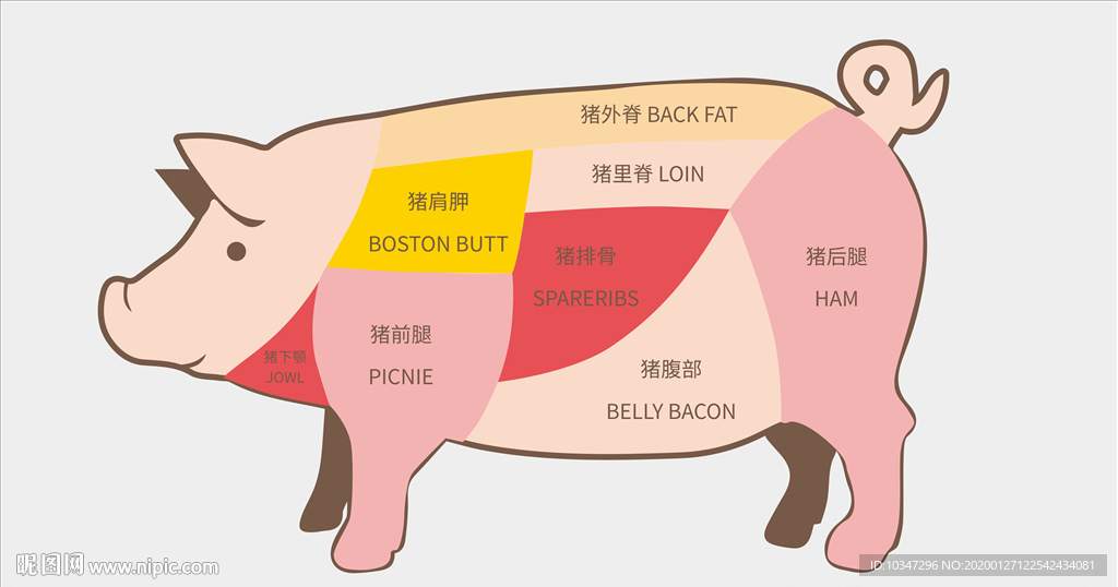 猪肉 超市猪肉图 分割猪肉