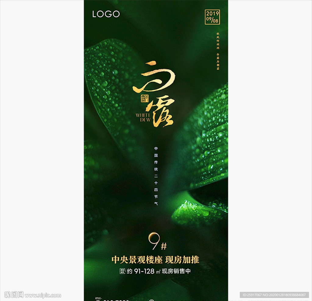 白露 微信 二十四节气