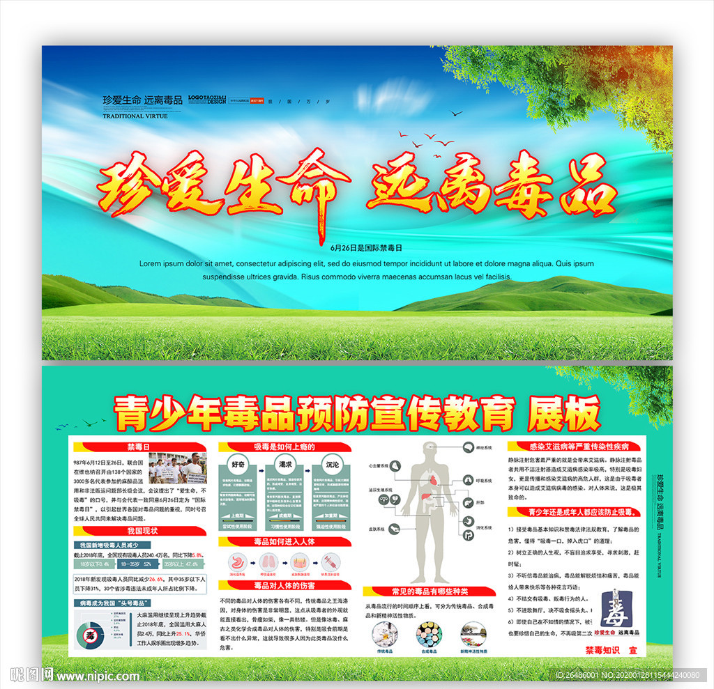 校园禁毒