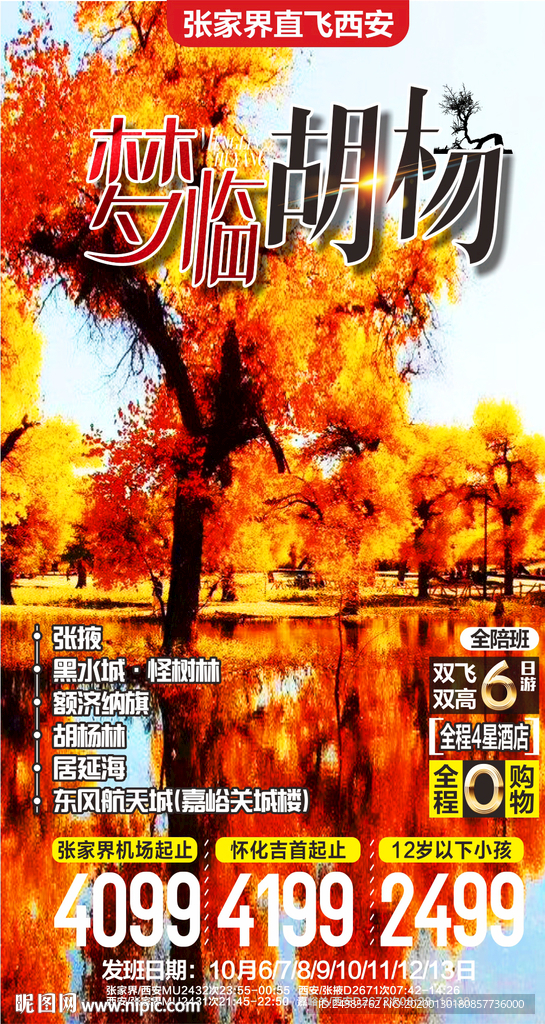 胡杨林