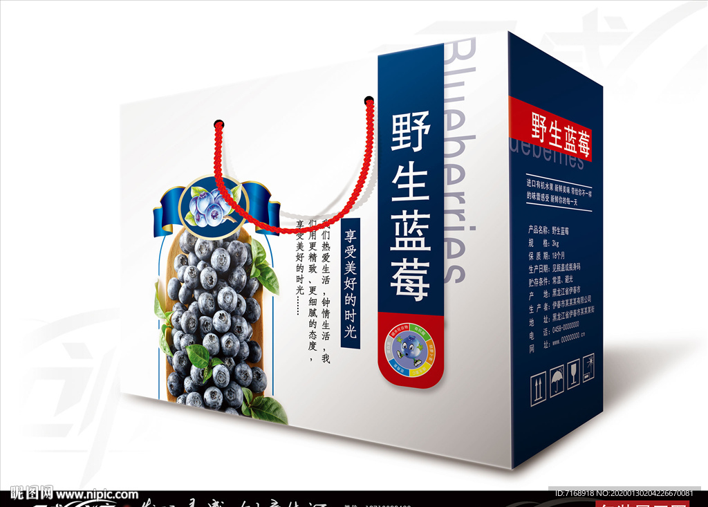蓝莓 蓝莓包装 野生蓝莓展开图