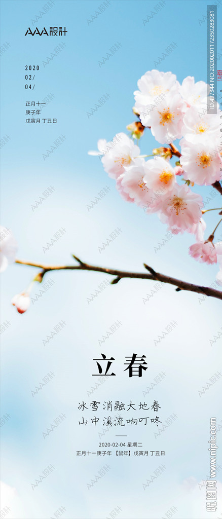 立春 中国传统节气 桃花 微信