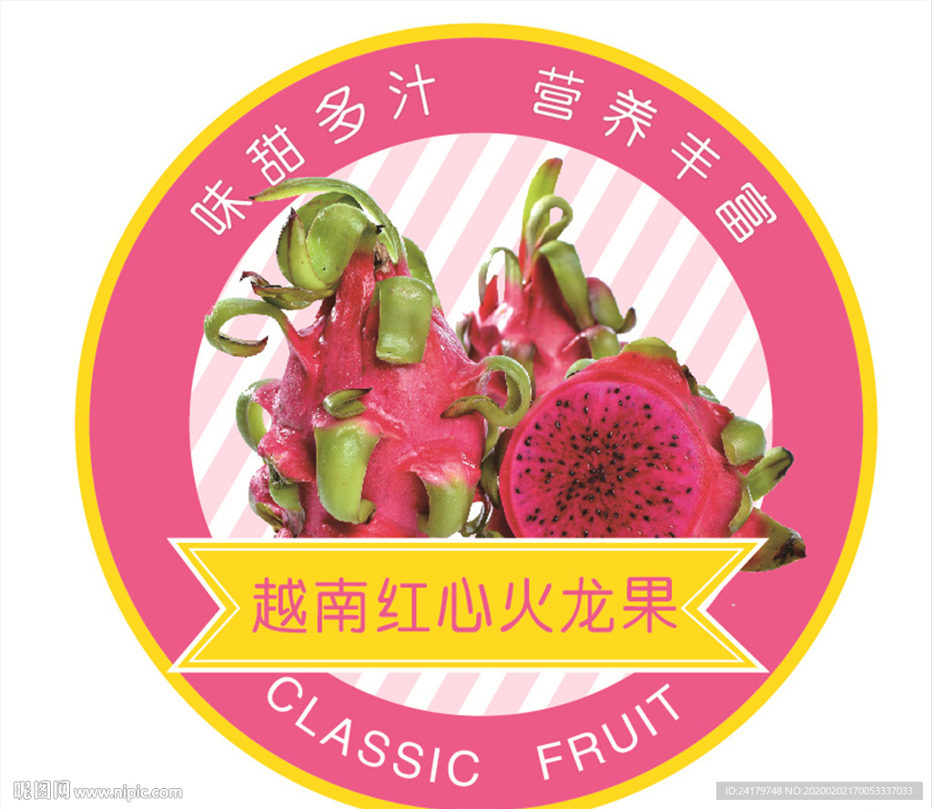 火龙果标签矢量图