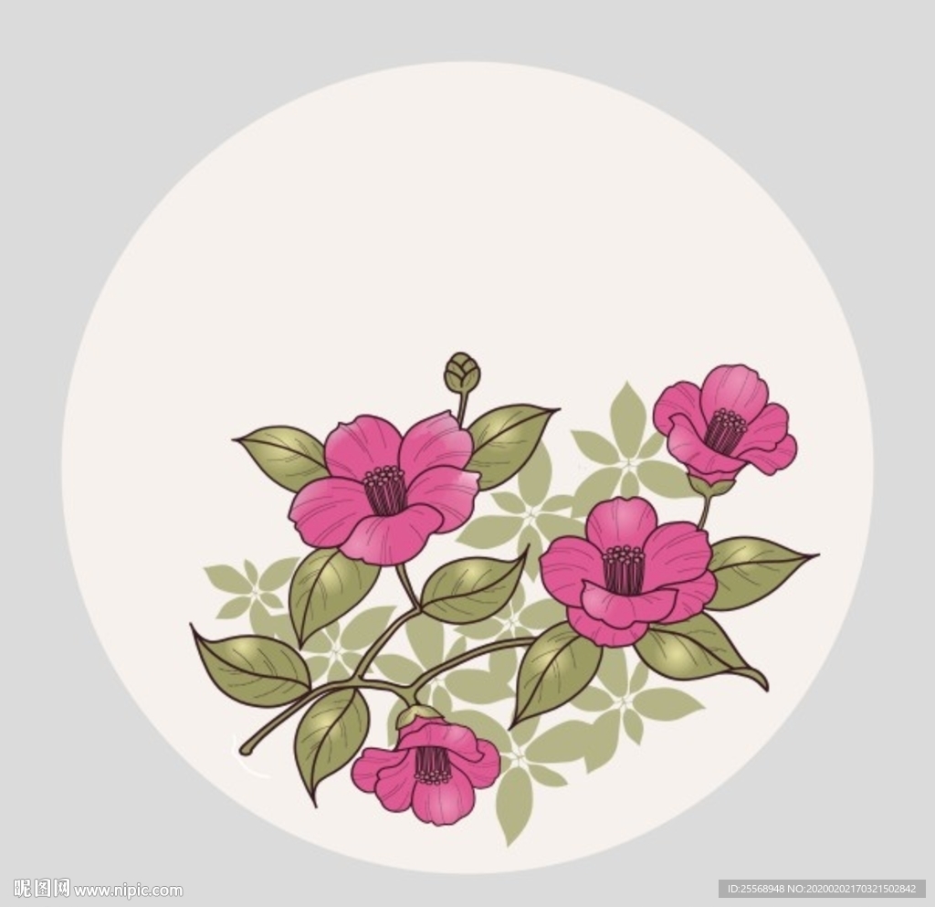花卉框画素材植物