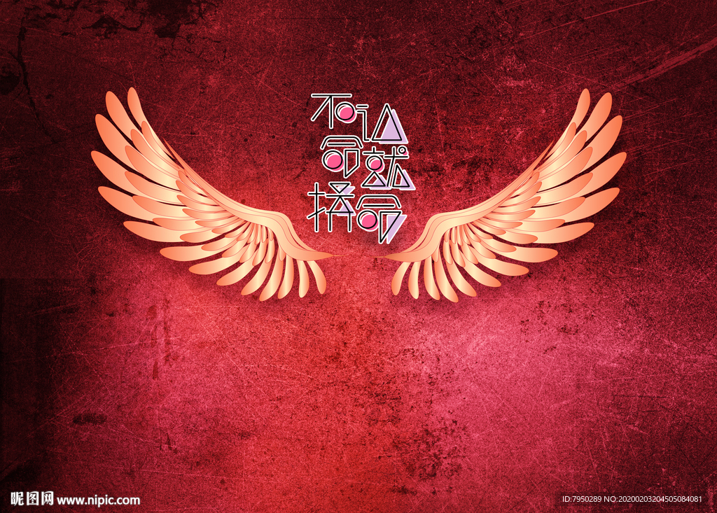 网红拍照背景墙