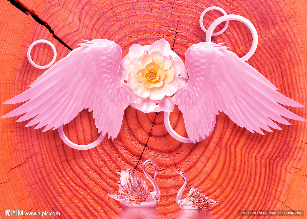 网红拍照背景墙