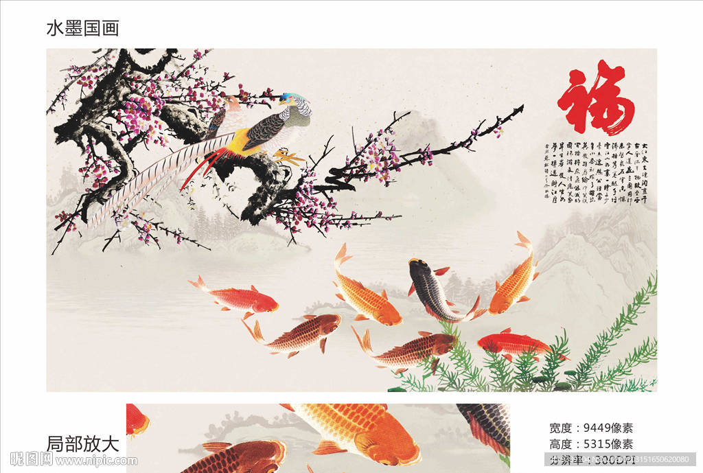 梅花鱼