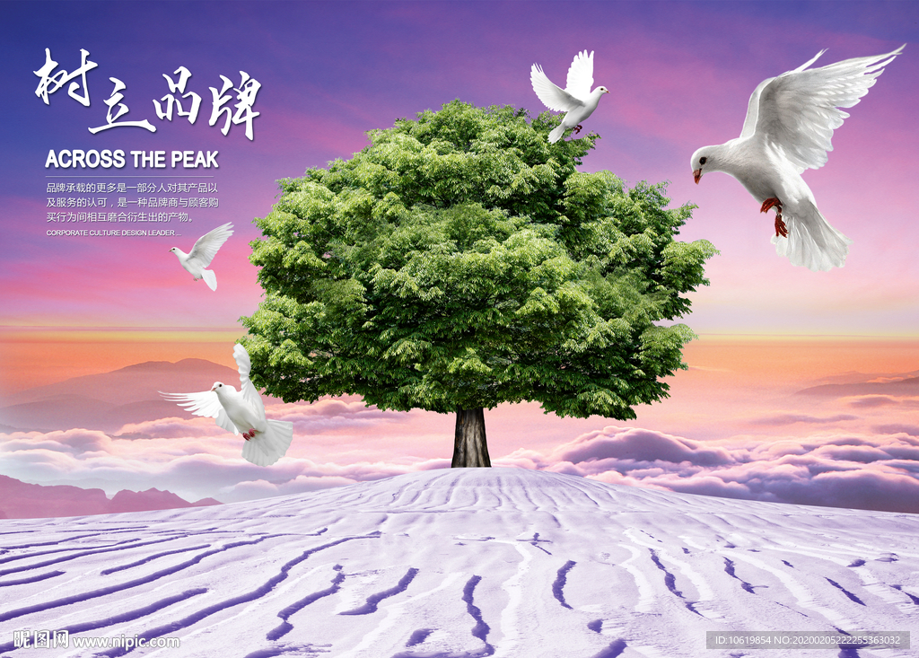 企业文化