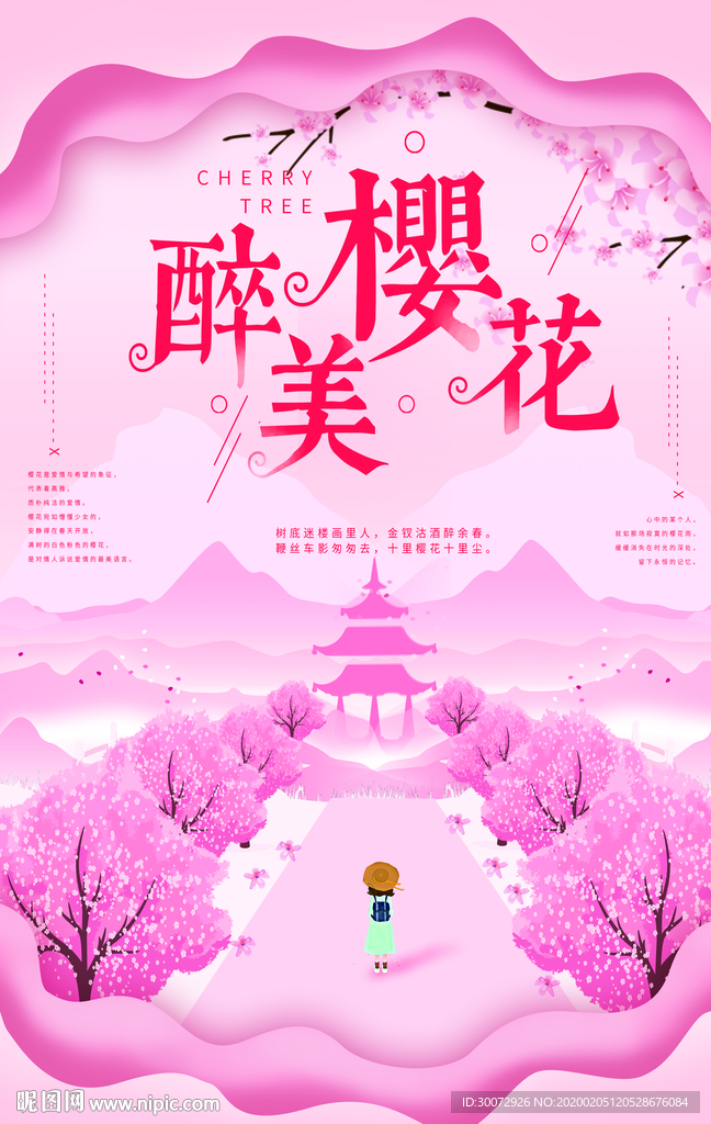 樱花节 樱花 赏樱花 樱花文化