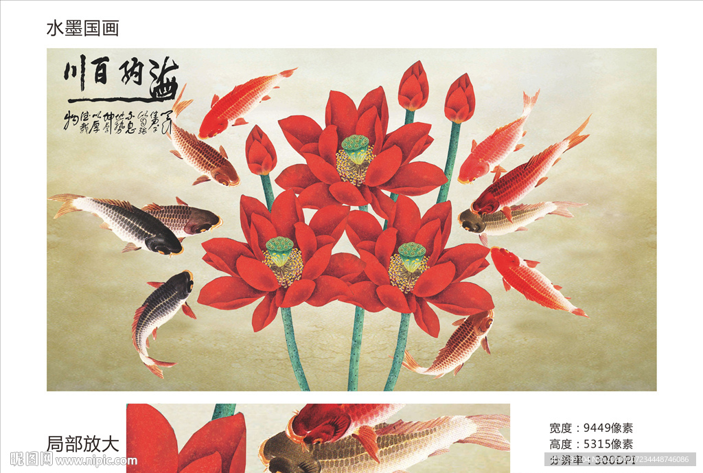 荷花九鱼图