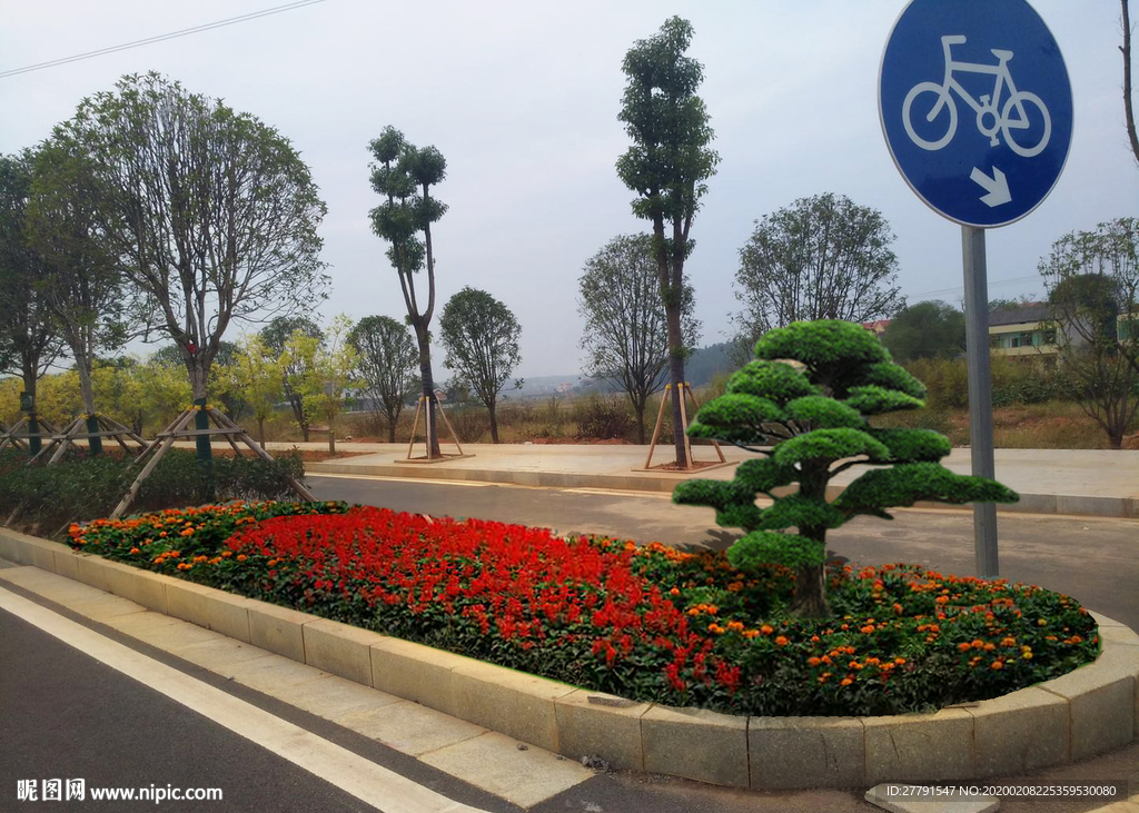 道路绿化设计效果图