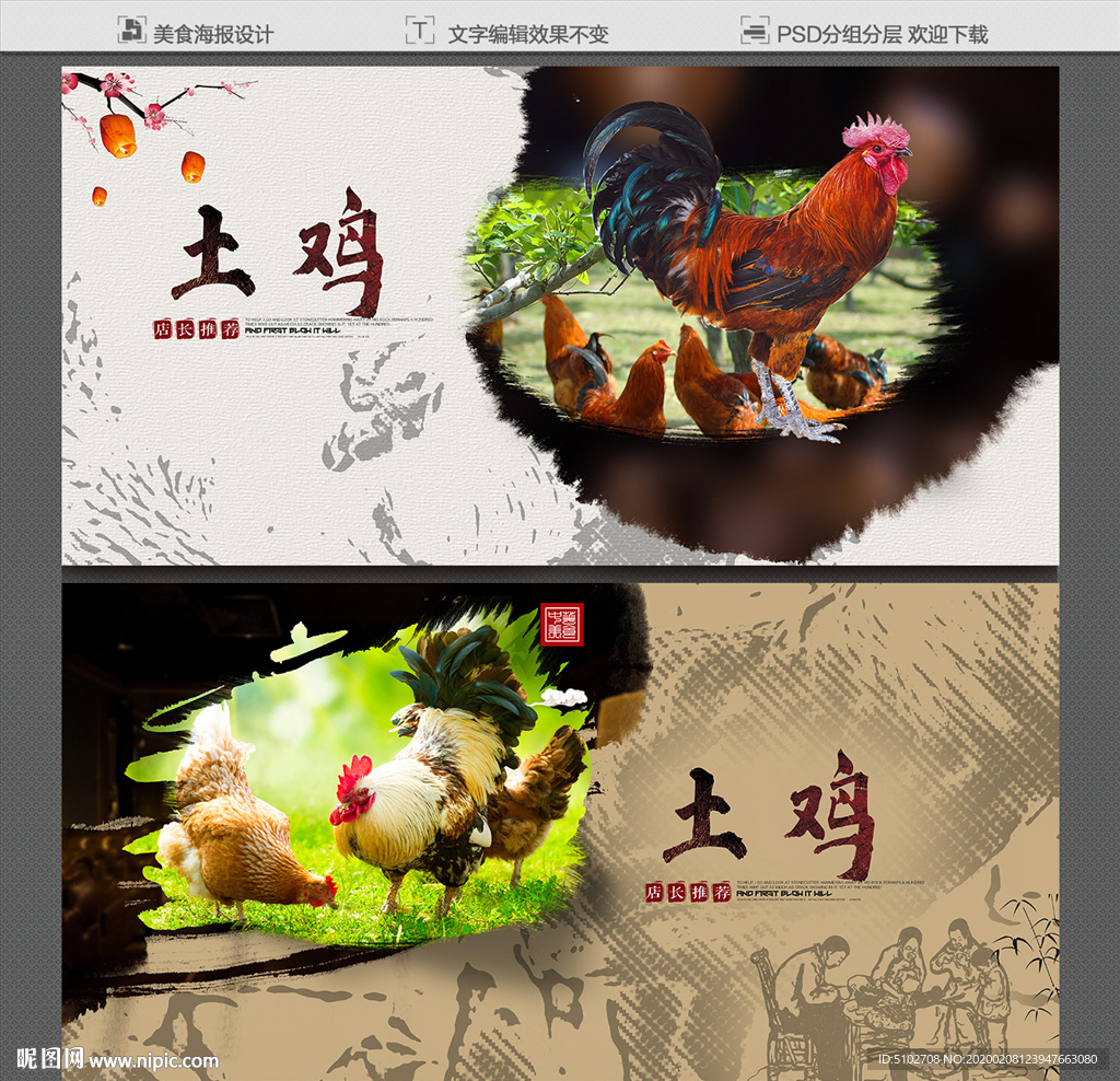 土鸡