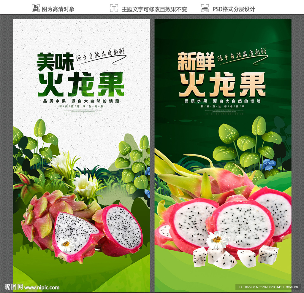 火龙果