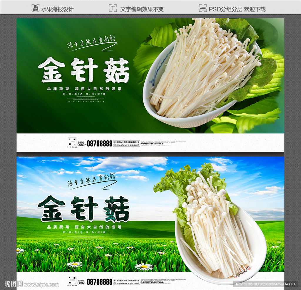金针菇