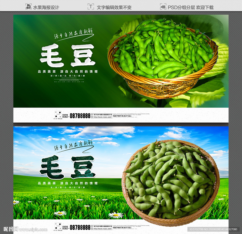 毛豆