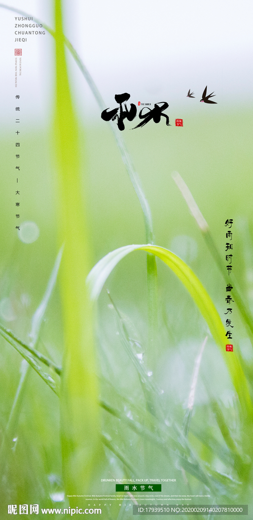 雨水