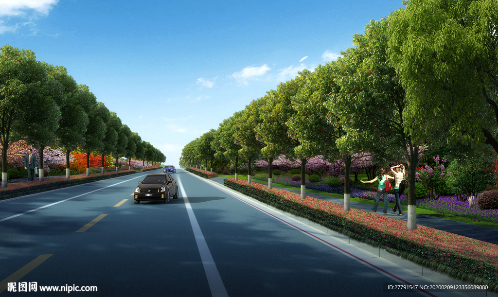 道路绿化设计效果图