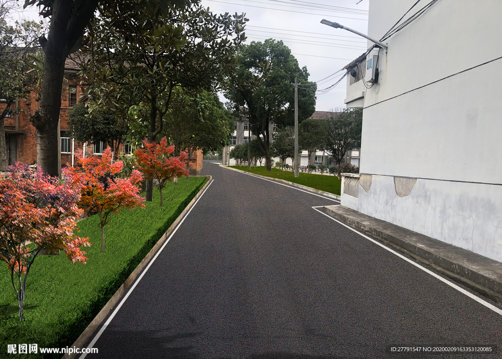 道路改造绿化景观