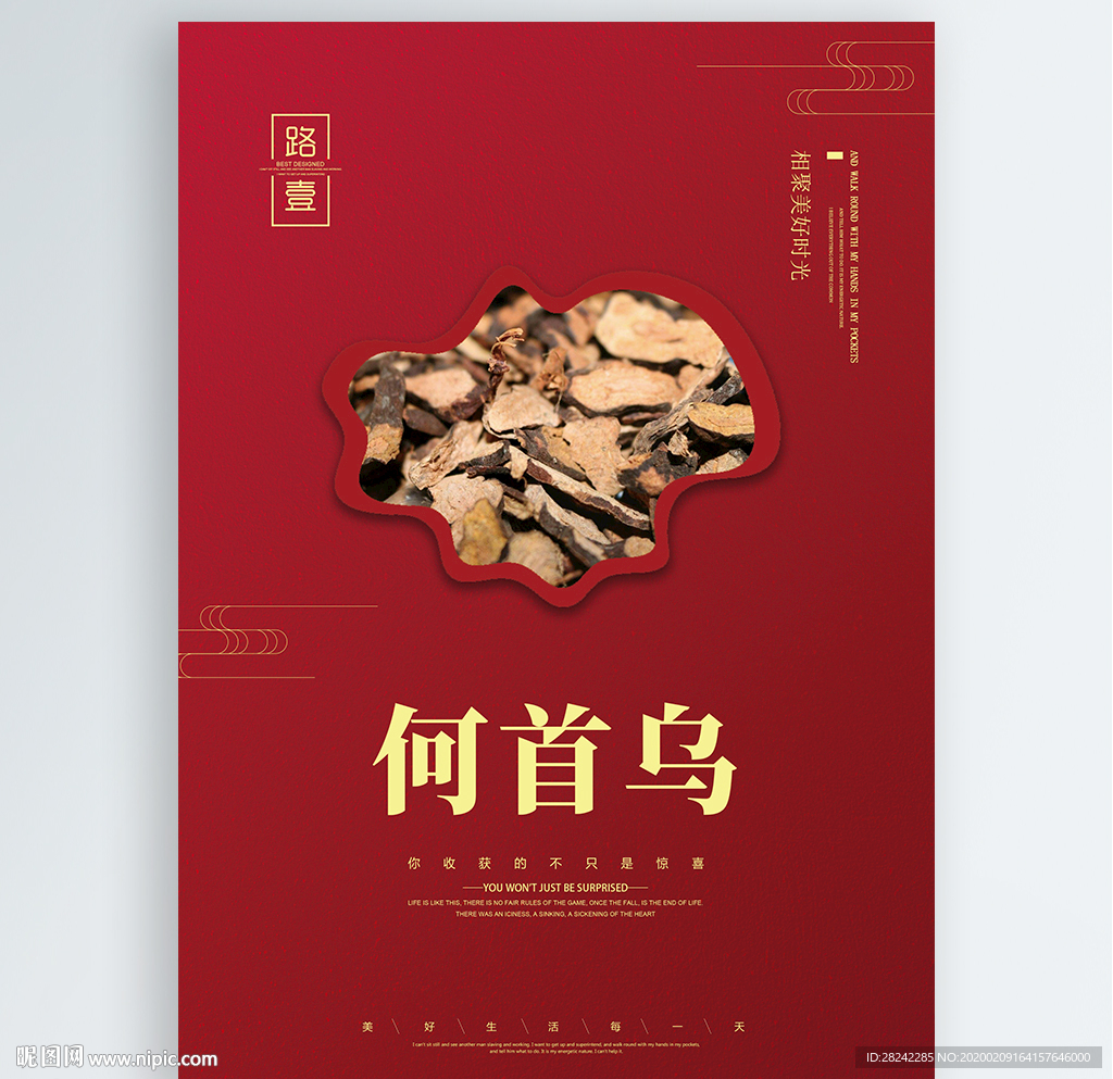 何首乌