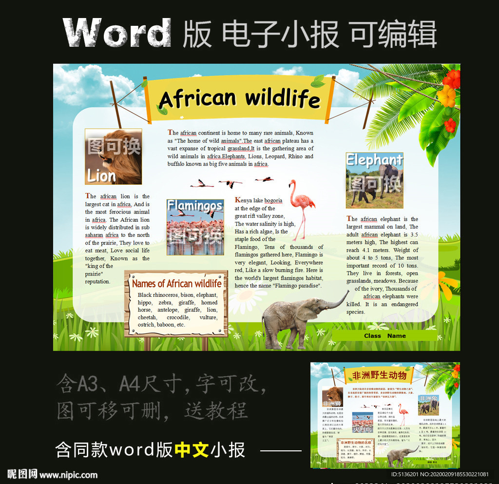 word版国家英语电子小报非洲