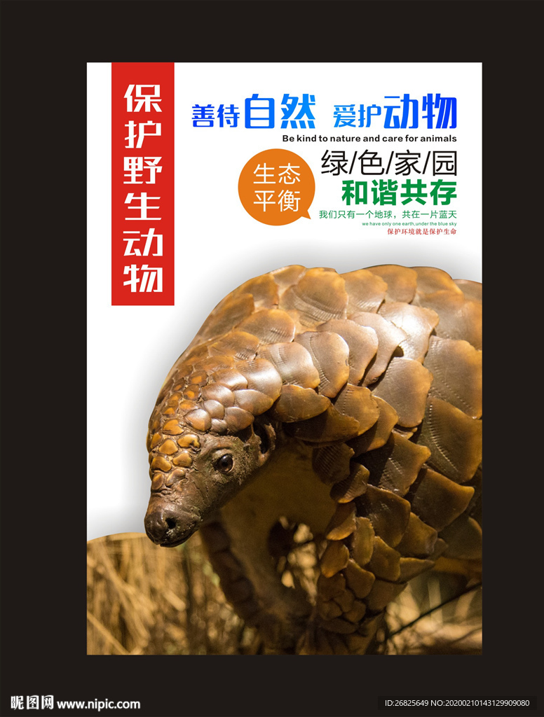 保护野生动物公益画面图片