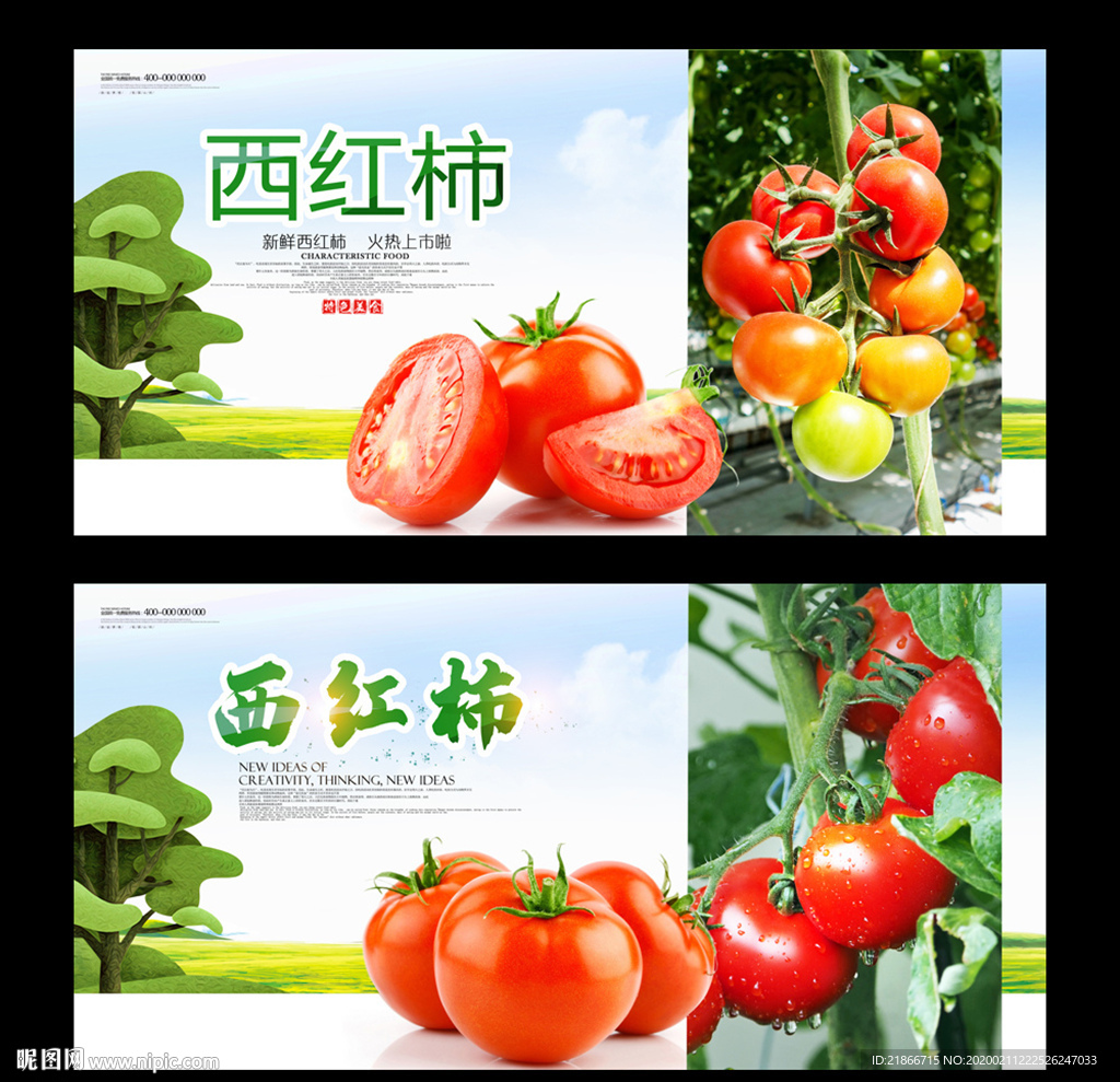 西红柿