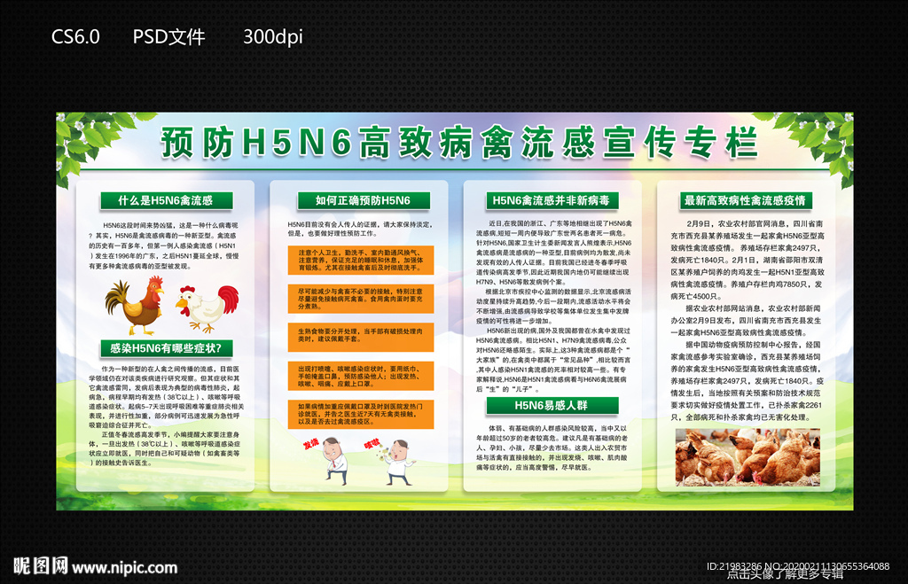 H5N6 禽流感