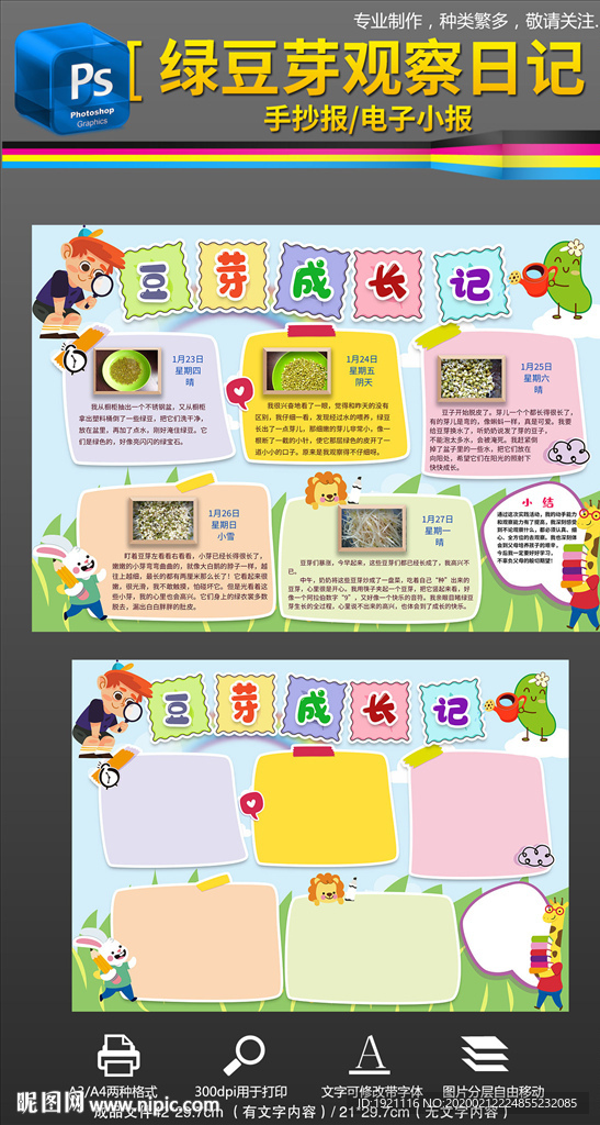 绿豆芽观察日记社会实践手抄小报