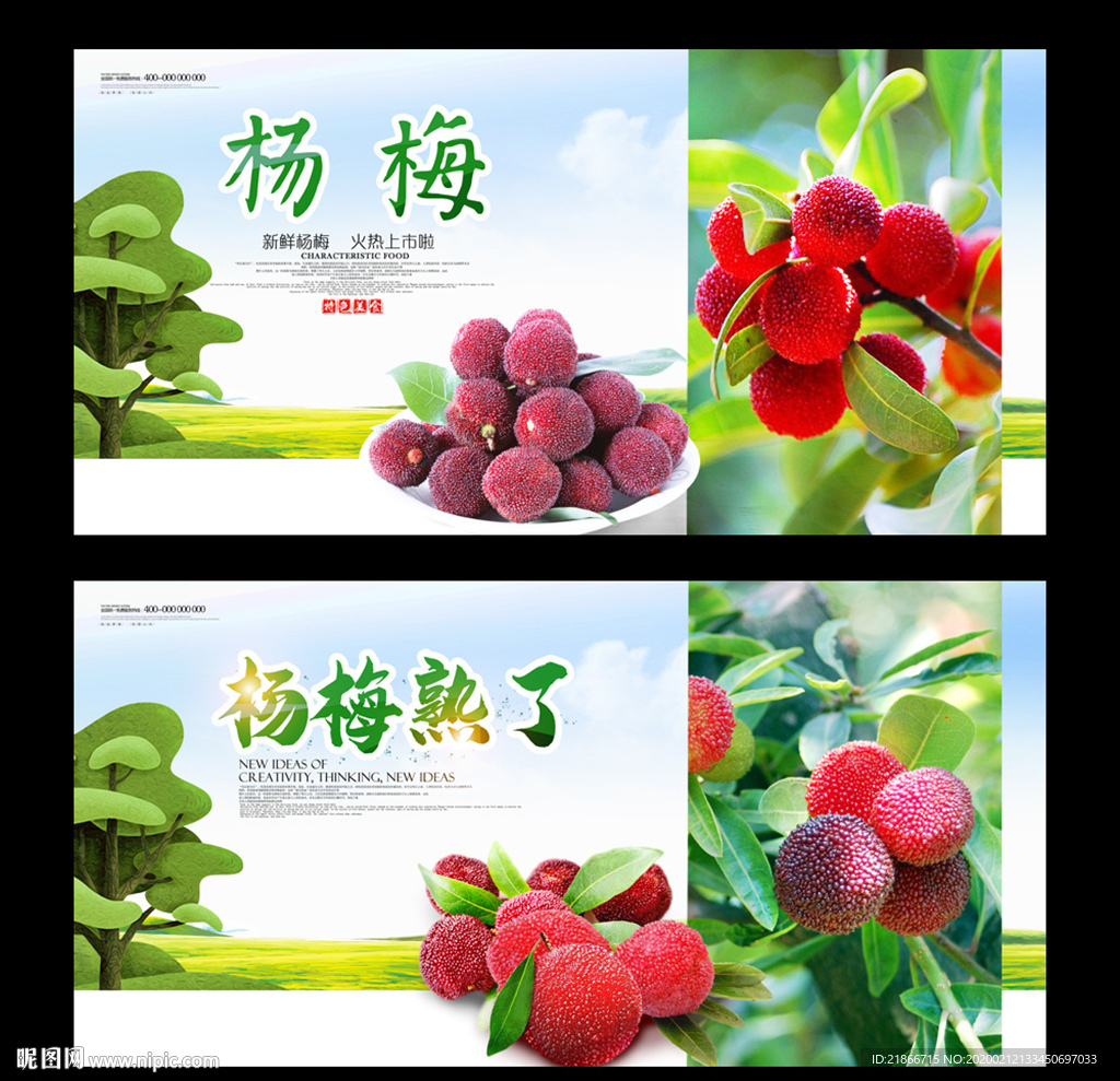 杨梅